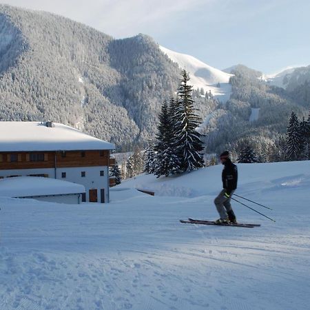 施利尔塞 Blsv Sportcamp Direkt Am Kurvenlift旅舍 外观 照片